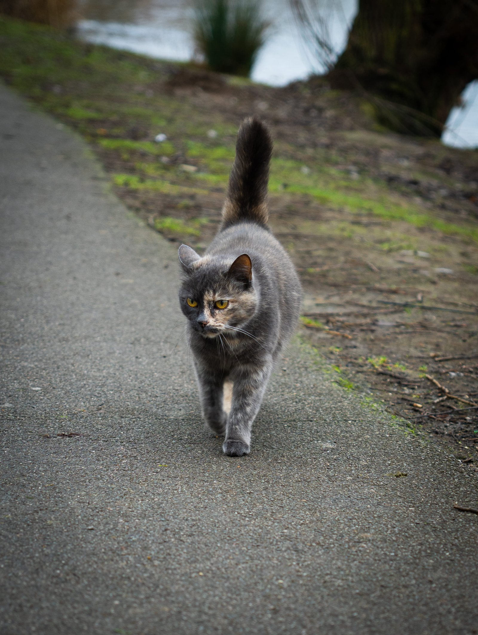 Aperçu Captures Créatives